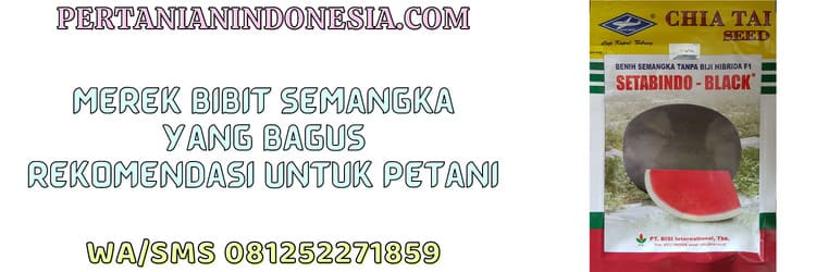 merek,bibit,bibit semangka,bagus,merek bibit semangka